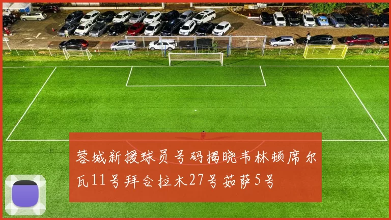 蓉城新援球员号码揭晓韦林顿席尔瓦11号拜合拉木27号茹萨5号
