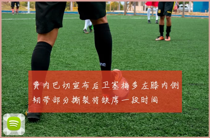 费内巴切宣布后卫塞梅多左膝内侧韧带部分撕裂将缺席一段时间