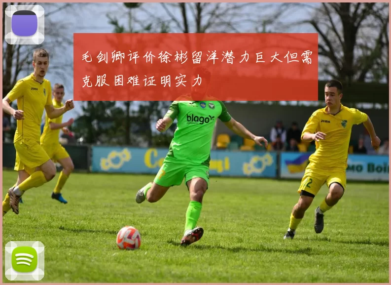 毛剑卿评价徐彬留洋潜力巨大但需克服困难证明实力